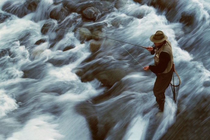 Using technology to control spending risk in a fast-moving environment