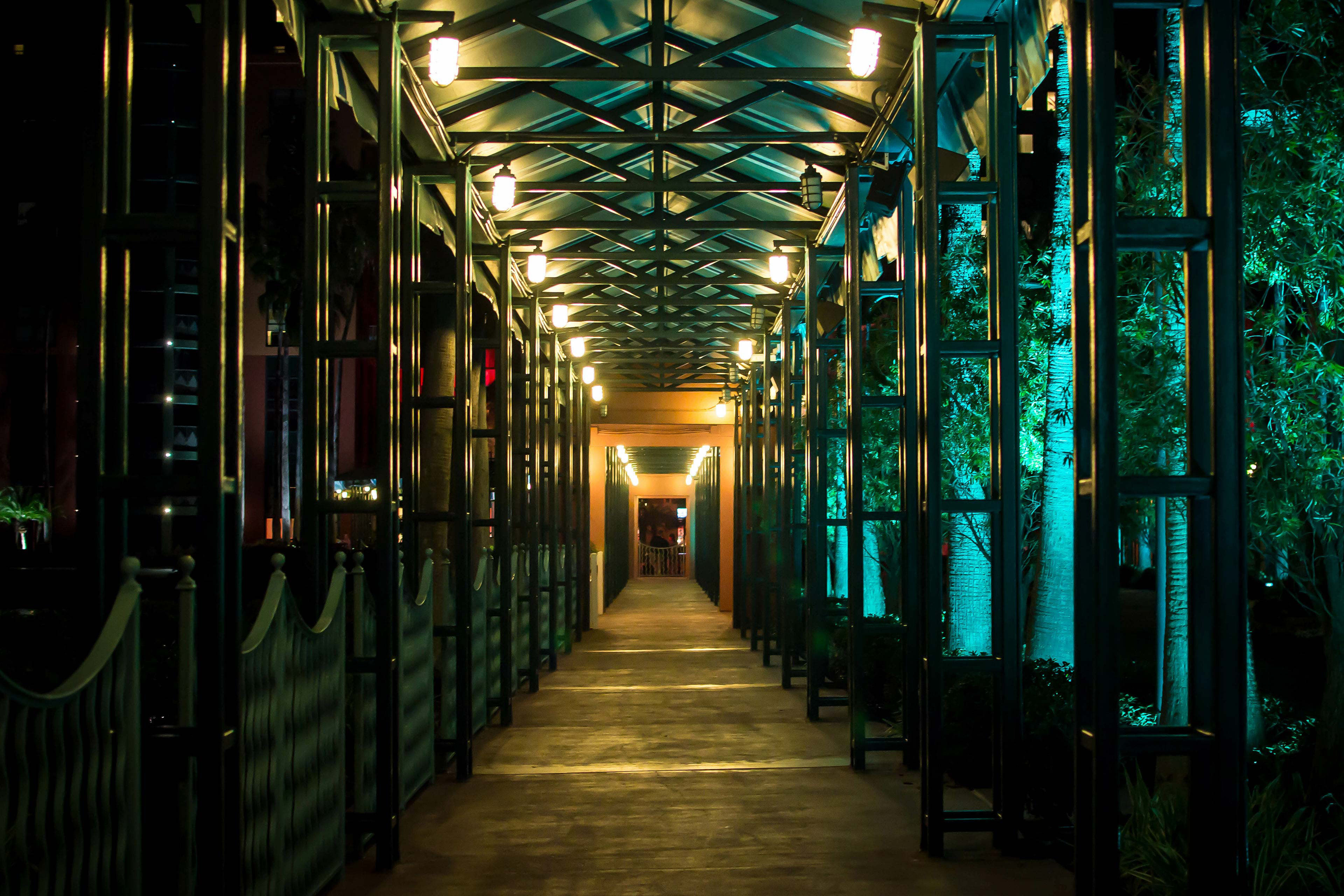 Green lights beside outdoor walkway Green lights beside outdoor walkway