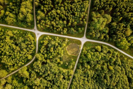 High angle view of paths running throught a forest