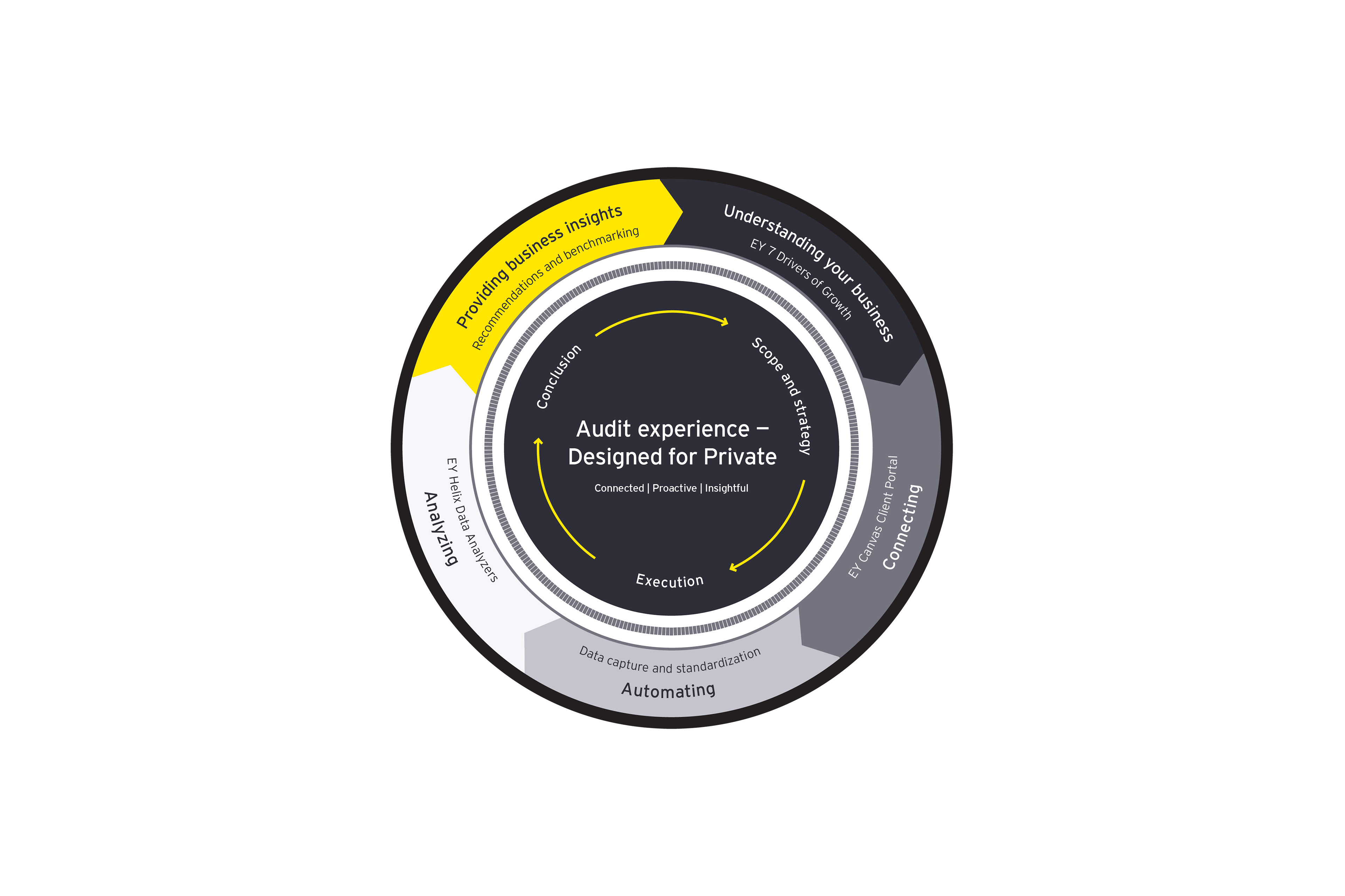 EY private client audit experience diagram
