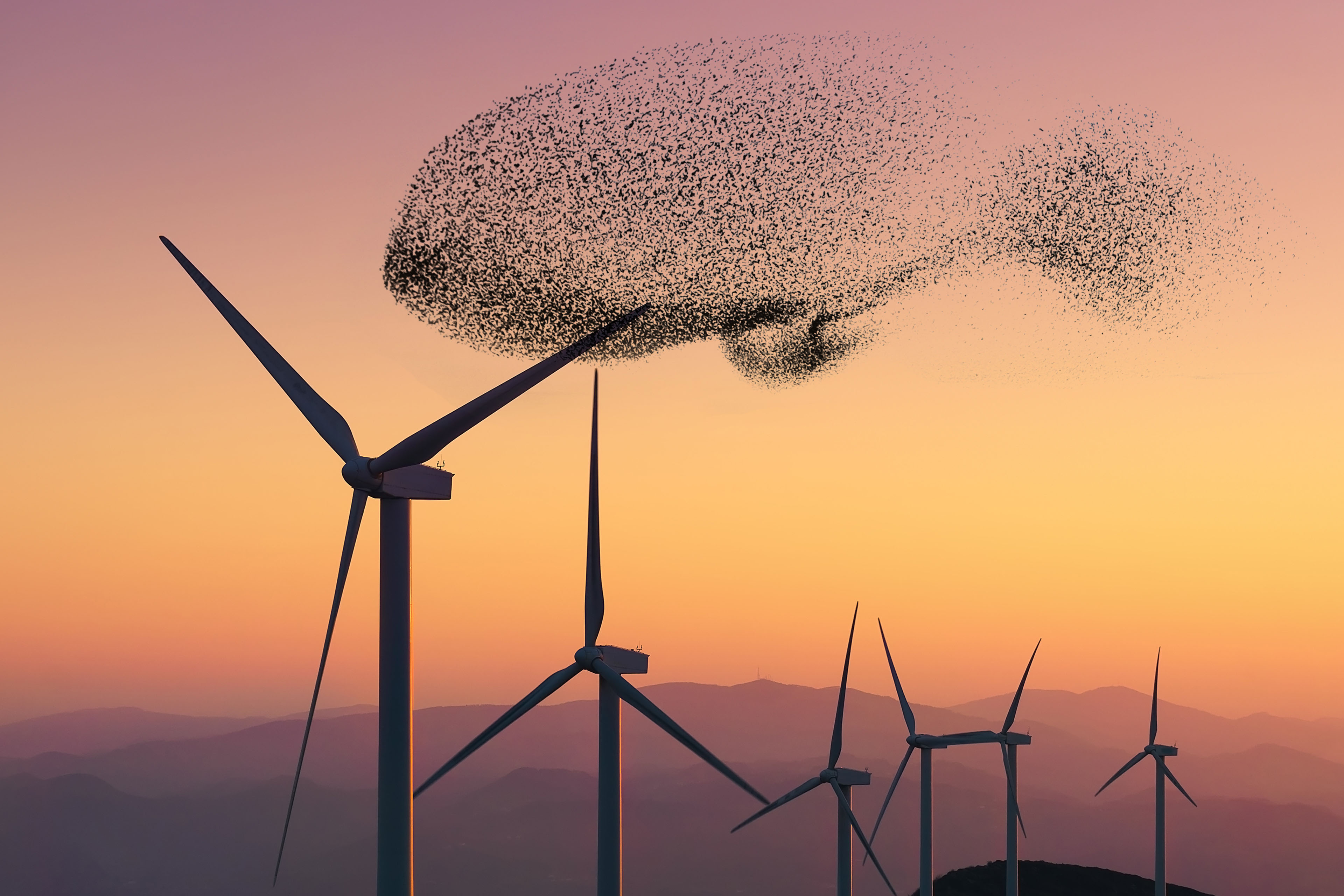 renewable energy with wind turbines and flock of birds renewable energy with wind turbines and flock of birds