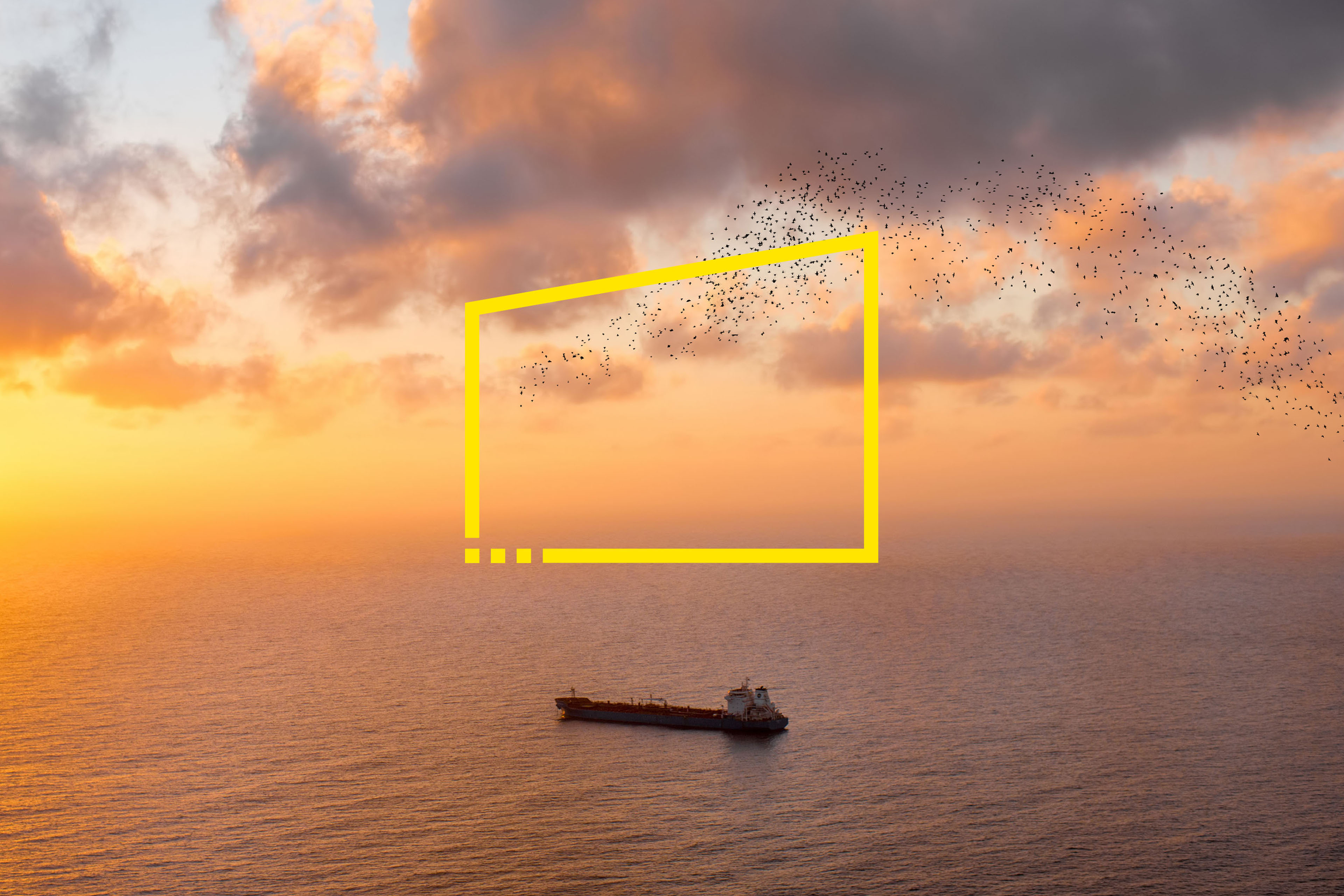 tanker with flock of birds sunset tanker with flock of birds sunset