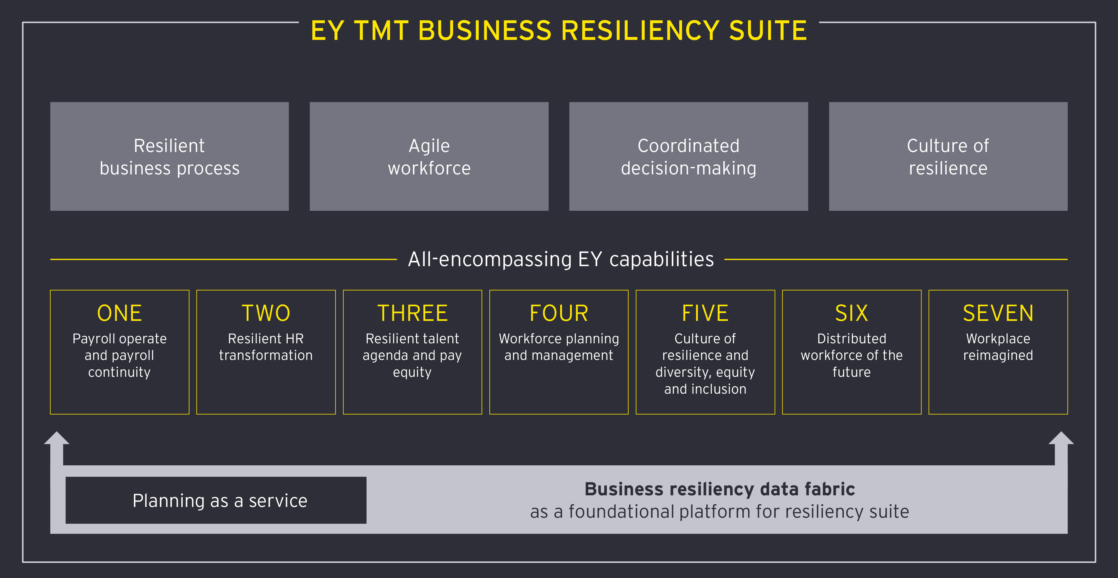 Themes and focus solutions infographics