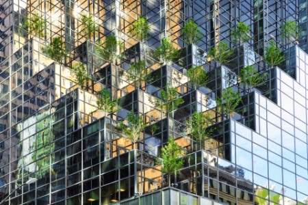 Trees installation on a skyscraper